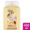 SEDAL ACONDICIONADOR 650 ML JENGIBRE Y RICINO IA 