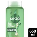 SEDAL SHAMPOO 650 ML RIZOS DEFINIDOS