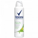 REXONA Mujer DESODORANTE BAM A V 89 GRS
