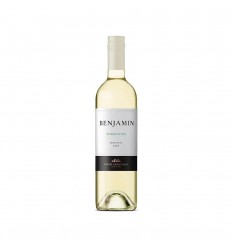 VINO BENJAMIN TORRONTES 750ML