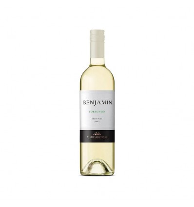 VINO BENJAMIN TORRONTES 750ML