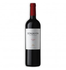 VINO BENJAMIN SYRAH 750ML