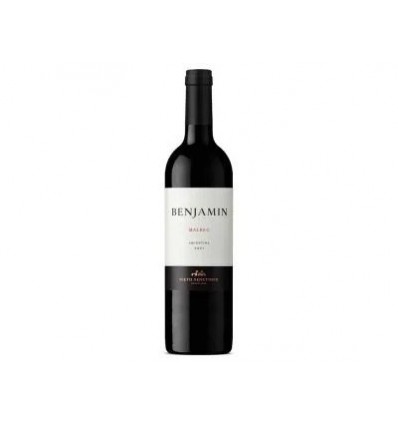 VINO BENJAMIN CABERNET SUAVIGNON 750ML