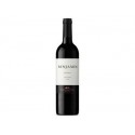 VINO BENJAMIN CABERNET SUAVIGNON 750ML