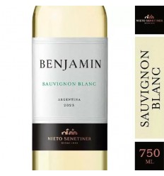 VINO BENJAMIN SAUVIGNON BLANCO 750ML