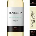 VINO BENJAMIN SAUVIGNON BLANCO 750ML