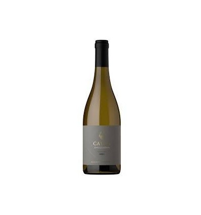 VINO ESPUMANTE CADUS APPELLATION TUNUYAN 750ML