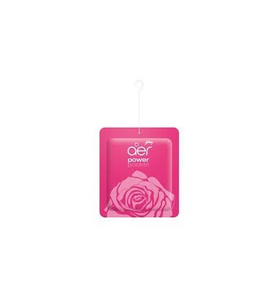 AROMATIZANTE AMBIENTE ENCANTO DE ROSAS 10GRS