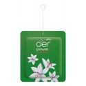 AROMATIZANTE AMBIENTE DELICIA DE JAZMIN 10GRS