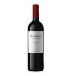 VINO BENJAMIN MERLOT 750ML